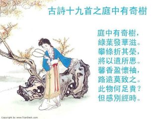 擬庭中有奇樹(shù)詩(shī)