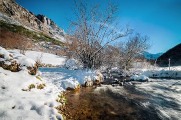 玉爐三澗雪