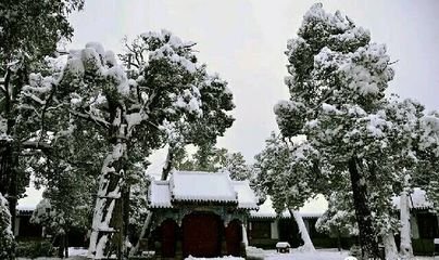 登三夏故城（二首）