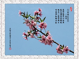 壺中二色桃花