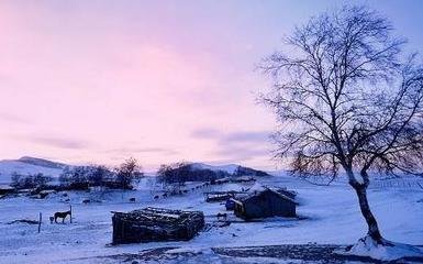 雪中