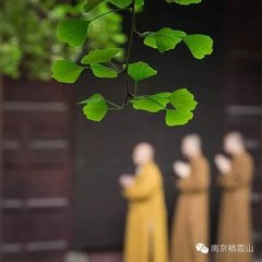 和崔司馬登稱心山寺