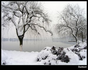 詠雪