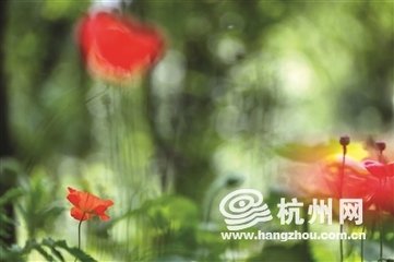 虞美人·濛濛煙樹無重數(shù)