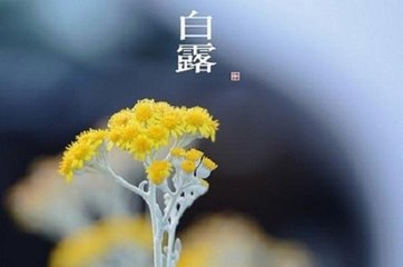 沁園春·詩不云乎