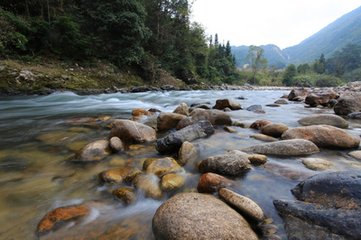 和秦太虛湖上野步