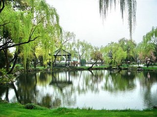 采桑子·連朝雨驟驅春去