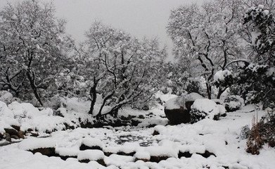 菩薩蠻·照溪梅雪和煙墮