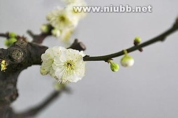 滿(mǎn)庭芳·涼風(fēng)吹帽