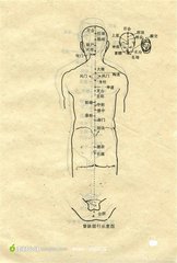 背自第一椎循督脈下行