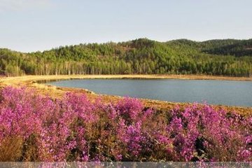 減字木蘭花·西山巖桂