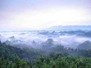 初見嵩山