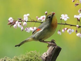 立春前一日雪中訪烏程宰李君俞尋有詩見貺依