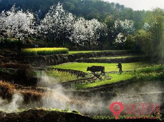 逍遙堂會(huì)宿二首