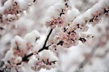 次韻和酬刁景純春雪戲意