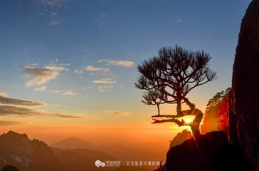 霜角 黃山尋霽