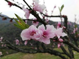 日夕出富陽浦口和朗公詩