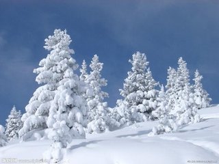 西江月（雪中）