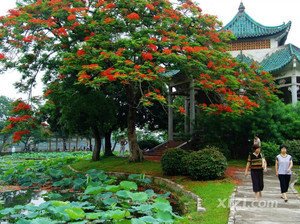 次韻和吳季野游山寺登望文脊山