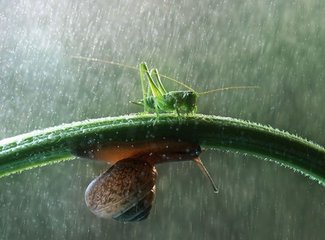 三伏暑甚七月八日立秋是日風(fēng)作涼爽炎酷頓消