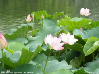 詠織婦詩(shī)