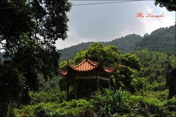 游合皂山