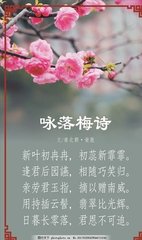 詠落梅詩