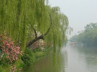 滿江紅·正好花時