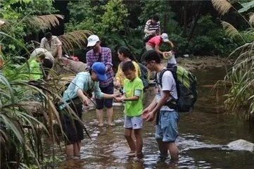 觀物四首·蛙