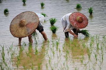 五月九日登舟迓卒鼓角發(fā)嚴(yán)