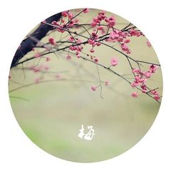 女冠子·露花煙草