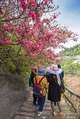 山中寄樊仆射（一作寄襄陽樊司空）