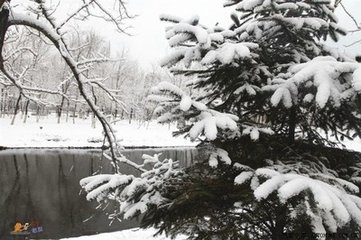 飛雪滿堆山（次趙西里＿·行喜雪韻）