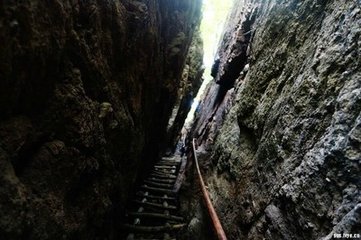 木蘭花慢·步涼颸綠野