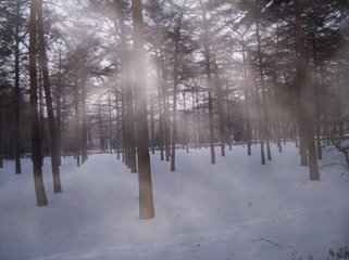 過覃氏園偶題