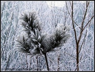 送張南史（一作寄李紓）