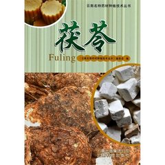 尹子漸歸華產(chǎn)茯苓若人形者賦以贈行