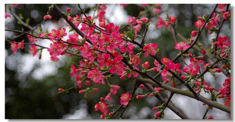 餞唐永昌