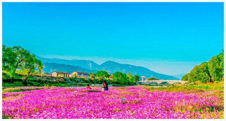 浣溪沙·鈿轂香車過柳堤