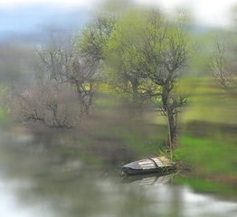 蝶戀花·已過春分春欲去