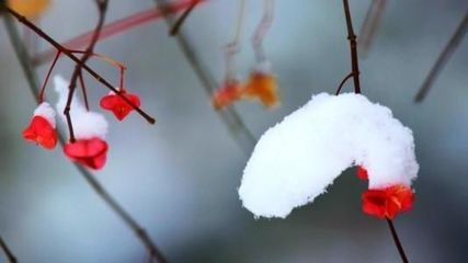 小雪前三日鍾冠之約余侍老人行山舟發(fā)后洪入