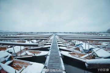 西湖對雪