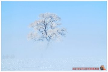 五日登北山望競渡