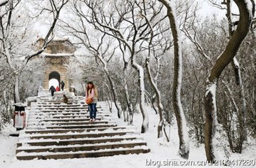 傳言玉女·雪壓梅梢