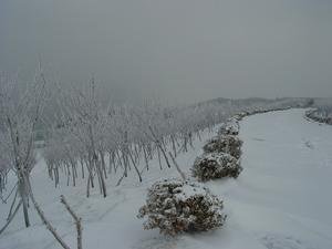 阮郎歸·紹興乙卯大雪行鄱陽道中