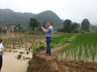 六月初九日晚大雨簡(jiǎn)文顯子暢