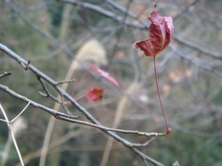 依韻和烏程子著作四首其三早春游南園