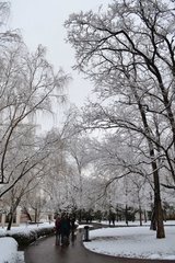 一冬無雨雪而有雷