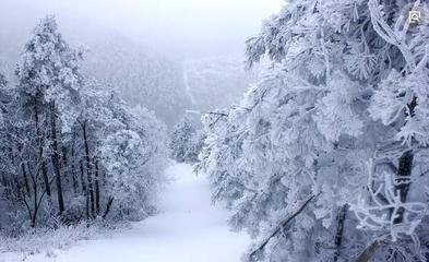 江城子（大雪與客登極目亭）