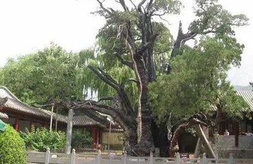 緱山子晉祠以下陪太尉錢(qián)相公游嵩山七章